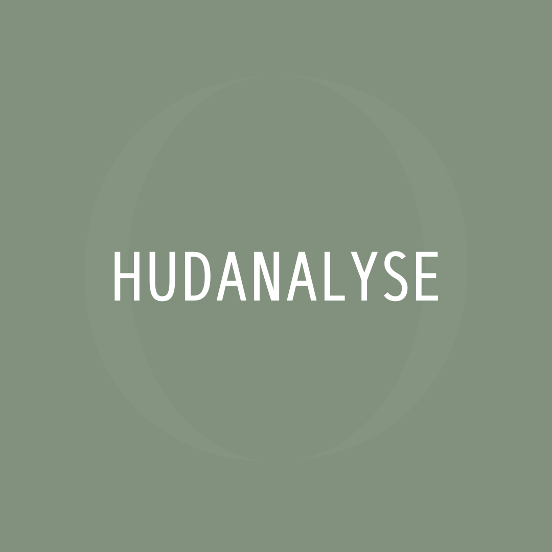 Hudanalyse